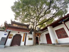 -乌山风景区