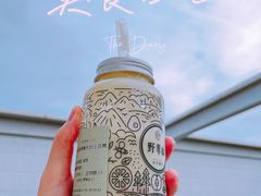 -野萃山·潮汕厚果汁(十亩地店)