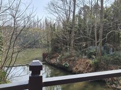 -东平国家森林公园