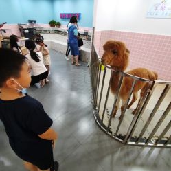 -Moni星球萌宠·小马宝莉·灵蛇·高端高阶全萌宠互动体验俱乐部(红豆国际广场店)