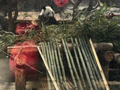 -鄂尔多斯野生动物园