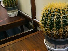 -科巷三姐酒酿(老门东店)