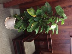iphone_upload_pic-粗茶淡饭·隐庐私厨(东亭店)