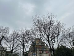-南京四方酒店-傲途格精选·椽宫中餐厅