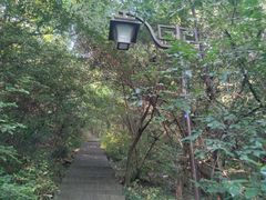 -杭州半山国家森林公园