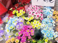 -循礼门鲜花花市(武汉循礼门店)