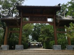 -阳台山自然风景区