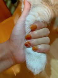 -匠之美甲美睫