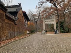 -灵谷景区
