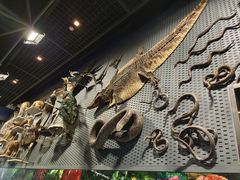 -浙江自然博物院(杭州馆)