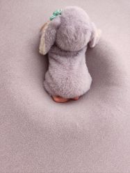 -西瓜庄园儿童摄影