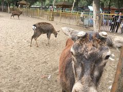 -赛汗塔拉风情园