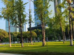 -重庆市江北嘴中央商务区中央公园