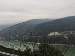 -铁山坪森林公园