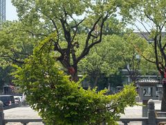 -赭山公园
