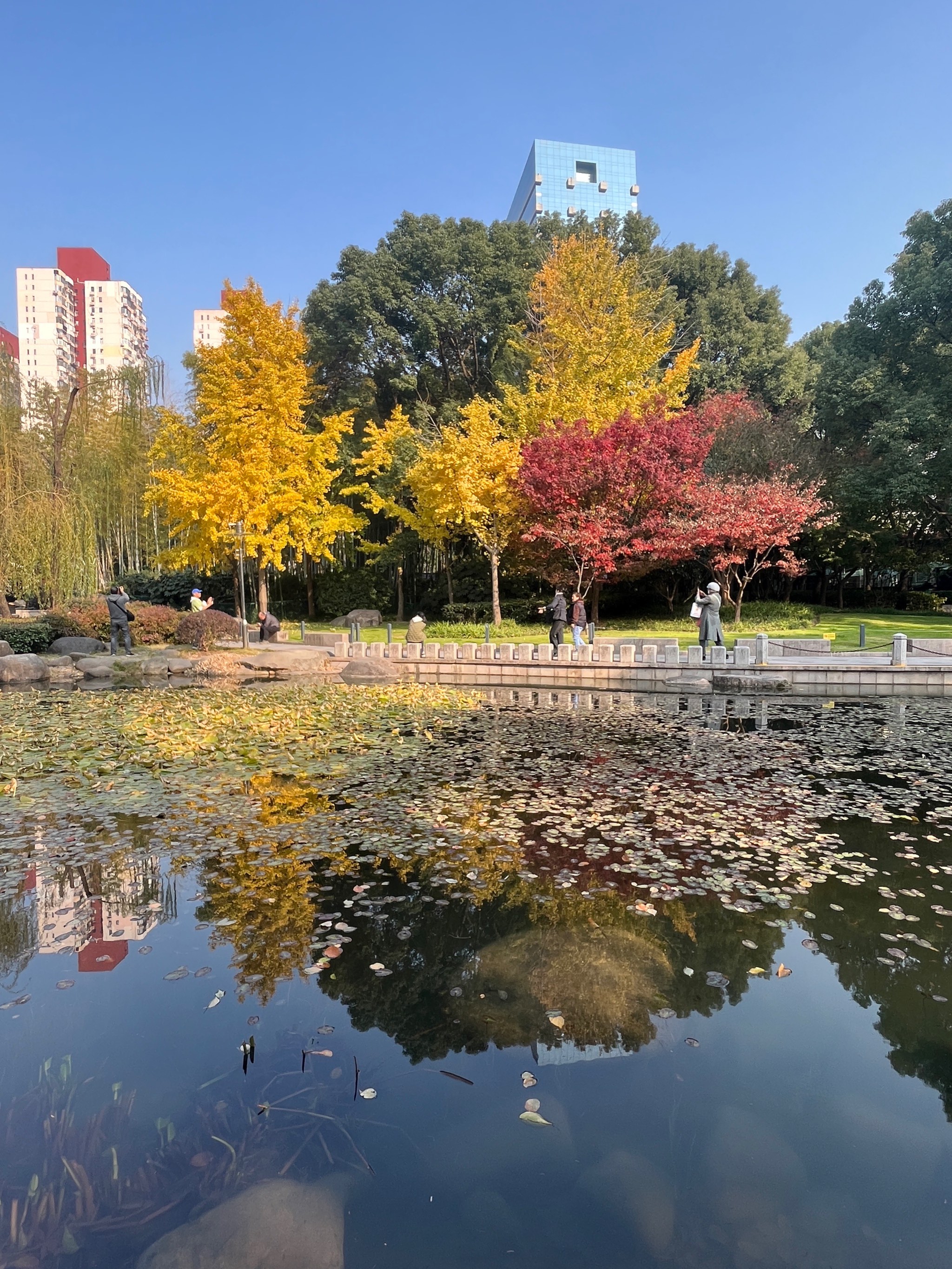 公园的春夏秋冬景色图片