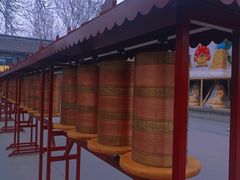 -护国法轮寺