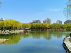 -三忘湖 SWANSEEN(柳荫公园店)