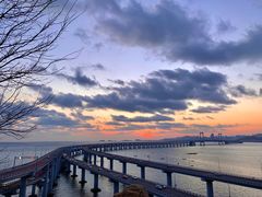 -星海湾跨海大桥