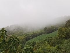 -敬亭山风景名胜区