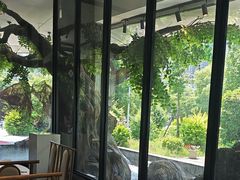 -院里寻菜·精致庭院菜(观沙岭店)