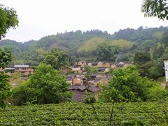 -杨家堂村