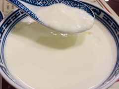 招牌姜撞奶-捷信牛奶甜品世家(五道口店)