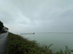 -贡湖湾湿地公园