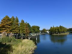 -尚贤河湿地