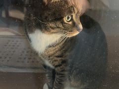 -霖公馆SPA·足道(普善路店)