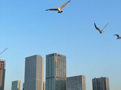 -东港音乐喷泉广场