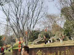 -龟山风景区-龟山电视塔