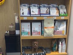 -四月宠物医院·猫专科·心脏专科·内科(转塘店)