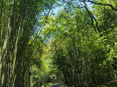 -广州市白云山风景名胜区