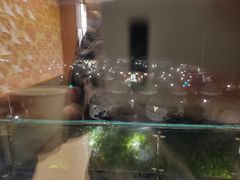 -重庆南山海昌汤都