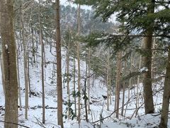 -四明山国家森林公园