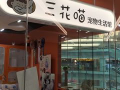 -三花喵·撸猫购宠·宠物生活馆(虹桥南丰城店)