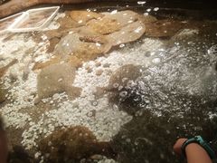 -郑庄脂渣海鲜楼(九水路店)