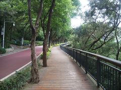 -金鸡山公园