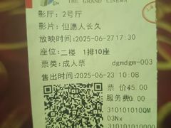 -大光明电影院(南京西路店)