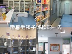 -特一安24小时宠物医院·骨科·中兽医