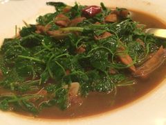蚌肉金花菜-阳澄湖费尔蒙酒店颐丰阁中餐厅(马鞍山西路店)