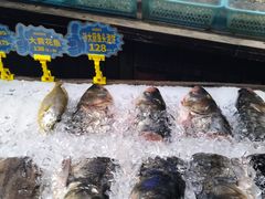 -老酒川菜坊(中山西路店)