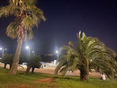 -柳湖沙月沙滩公园