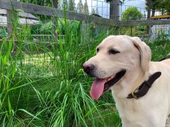 -前小桔亲子创意农场·草莓采摘·露营烧烤