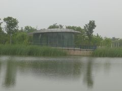 -尚贤河湿地