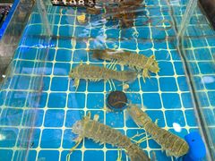 -醉壹号海鲜大排档(厦门美食地标店)