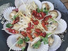 -鲁前海沿儿