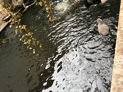 -湖鲜楼