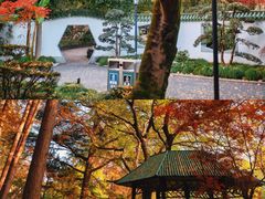 -中山公园